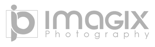 Imagix Faded Logo